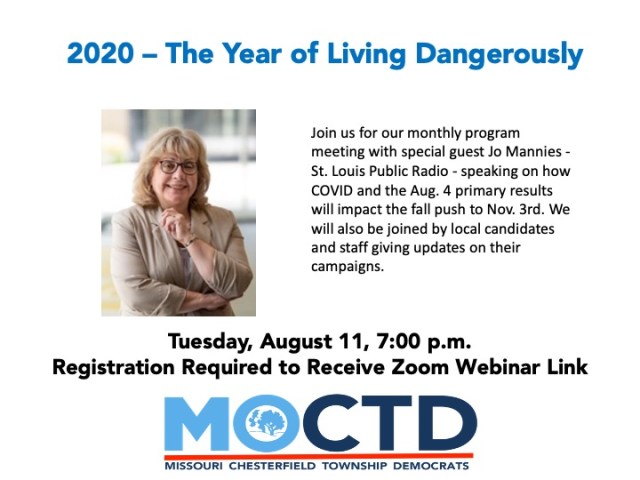 August 2020 Meeting - Jo Mannies